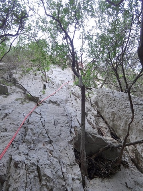 Voie Machicoulis, longueur L1, Gorges du Destel